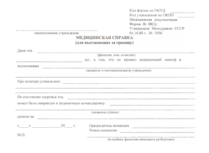 Купить справку для выезда за границу в Челябинске | форма 082/у